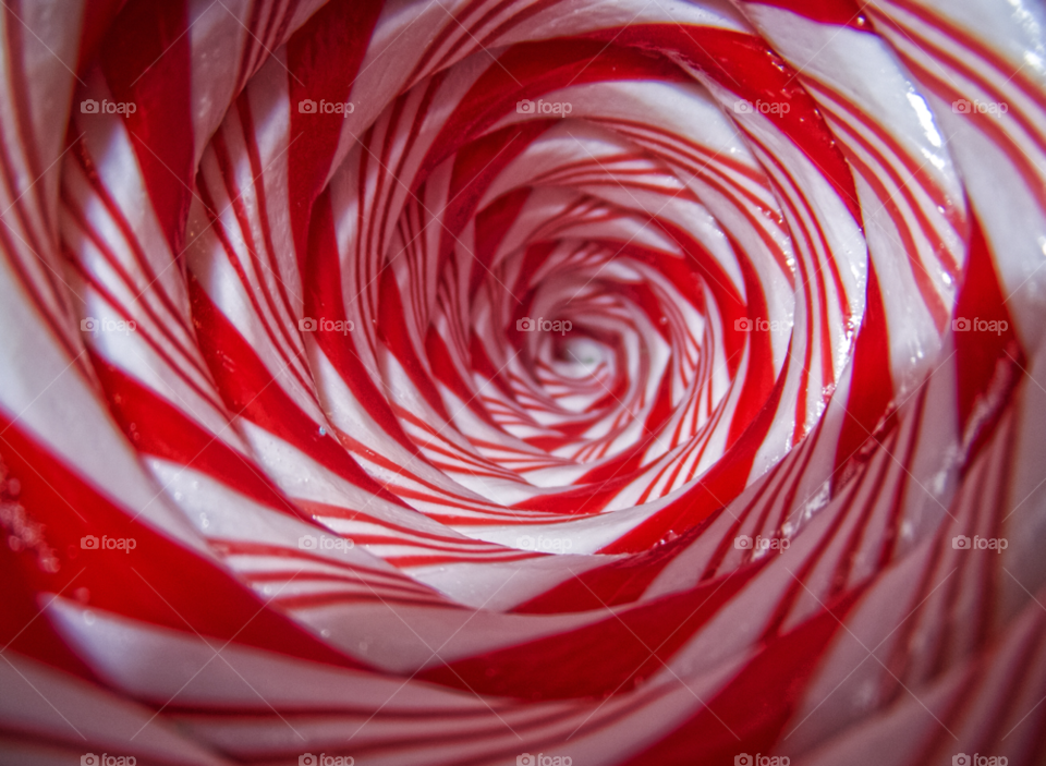 red white sweets candy by gregmanchester