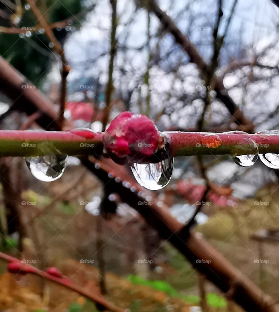 Macro raining