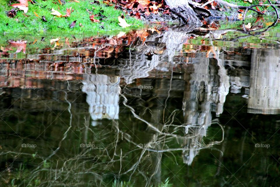 reflections on the shore.