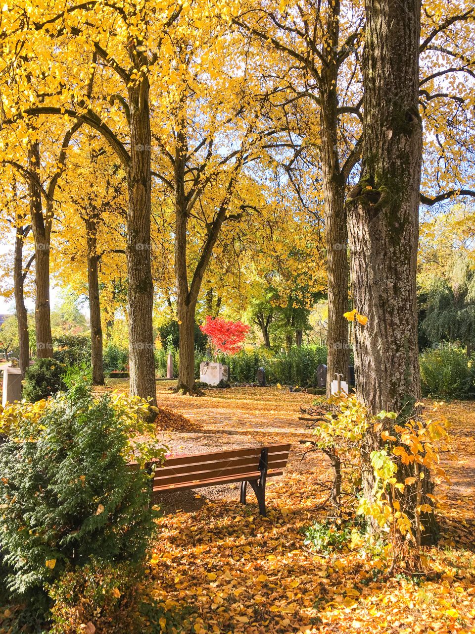 Autumn cemetery in Freiburg, Schwarzwald, Germany