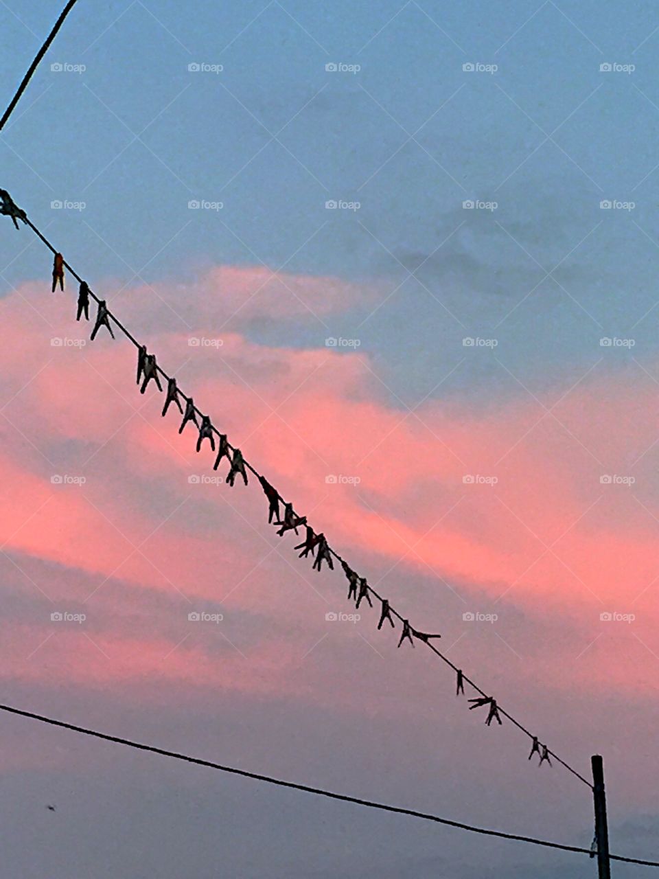 Clothespins on a line . Sunset