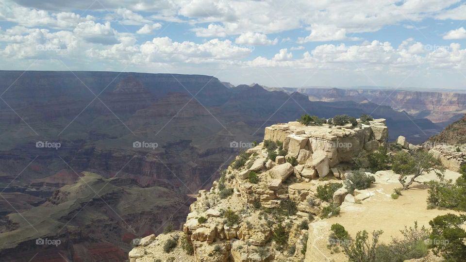 A view of the Grand Canyon