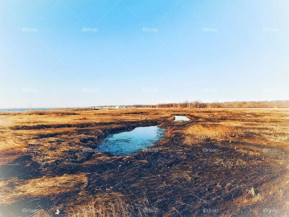 Silver Sands State Park