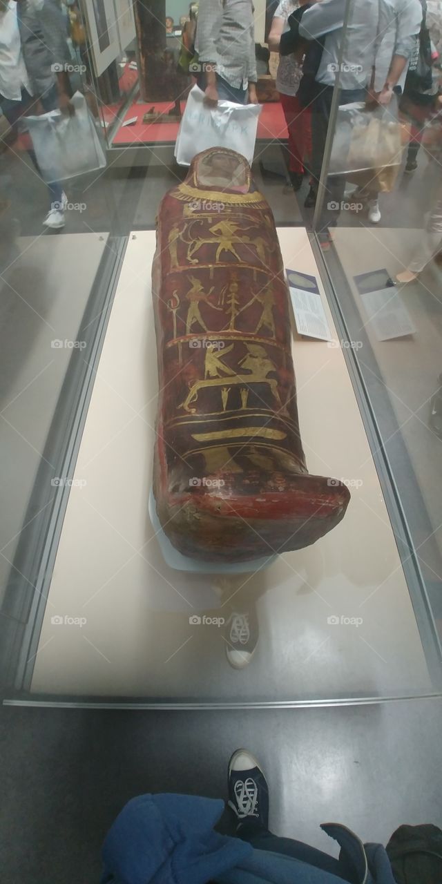 eyption mummy in glass museum display case