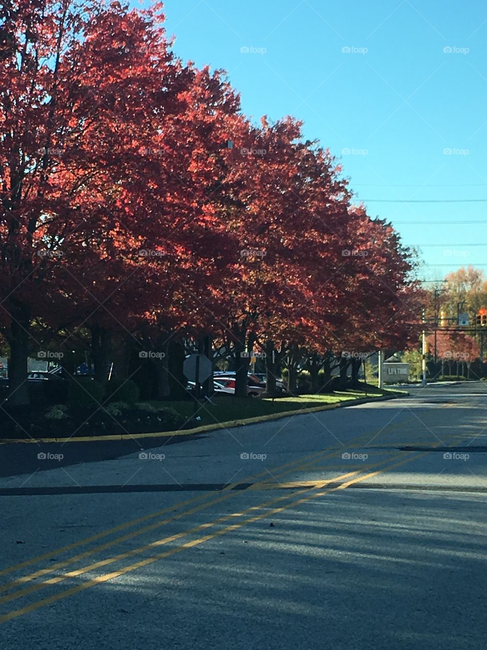 Autumn colors in New Jersey 