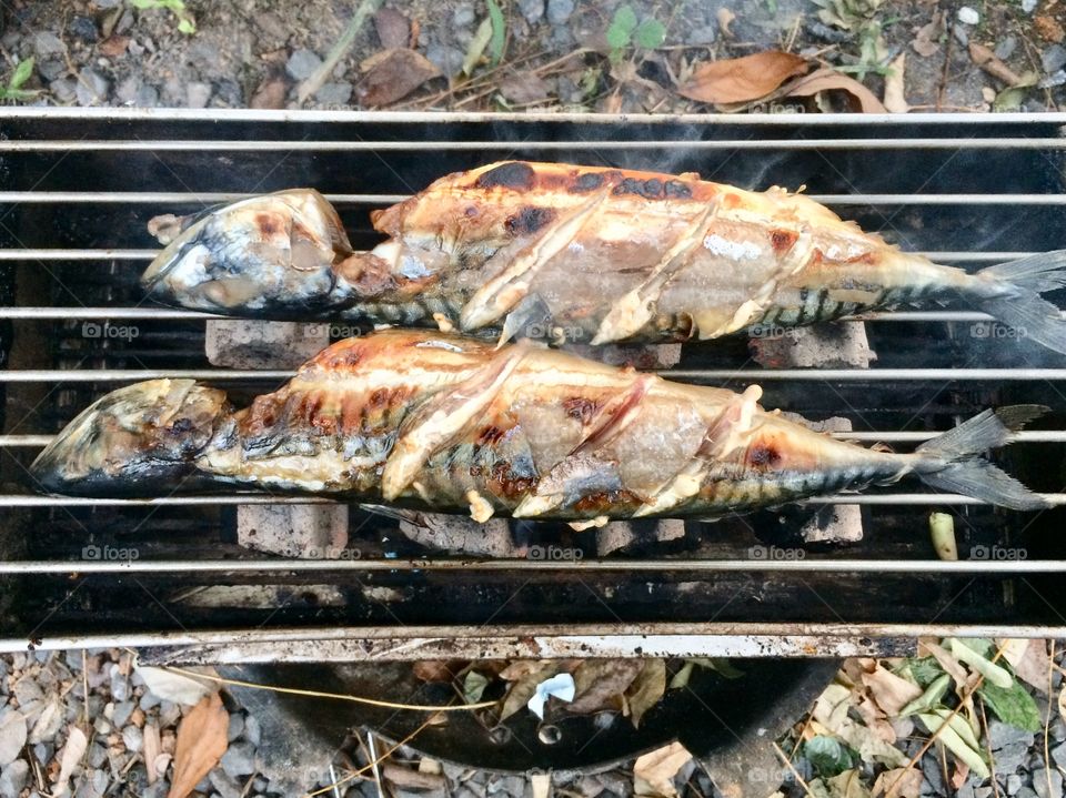 Grilled Saba Fish