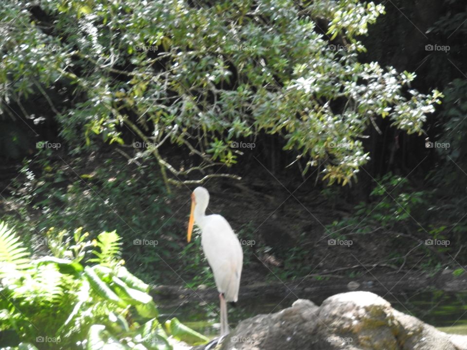 It's a Great Day for Fishing