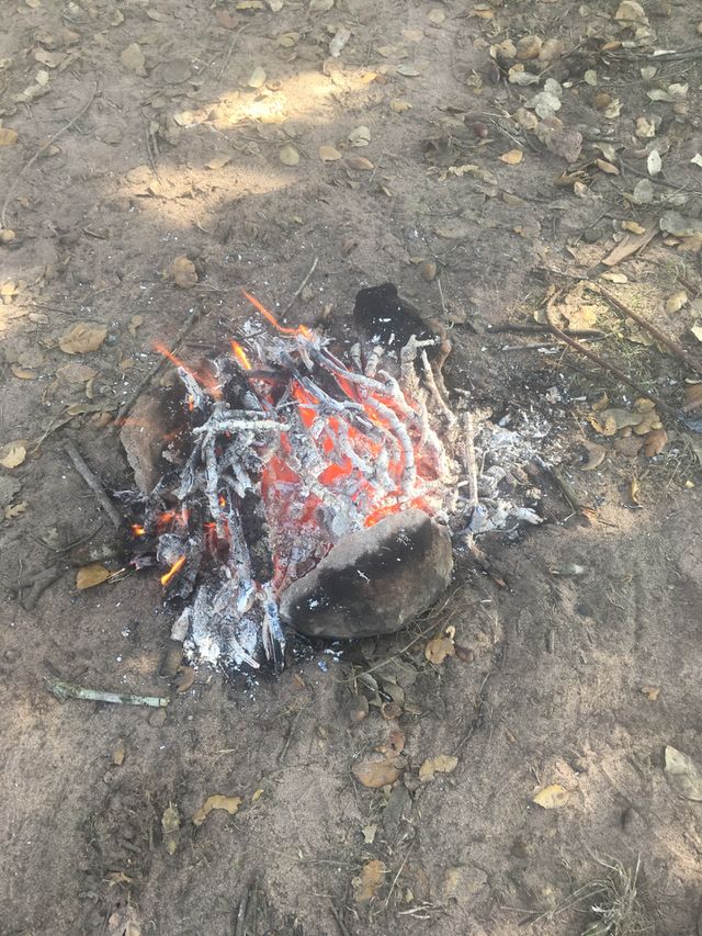 The smallest oven