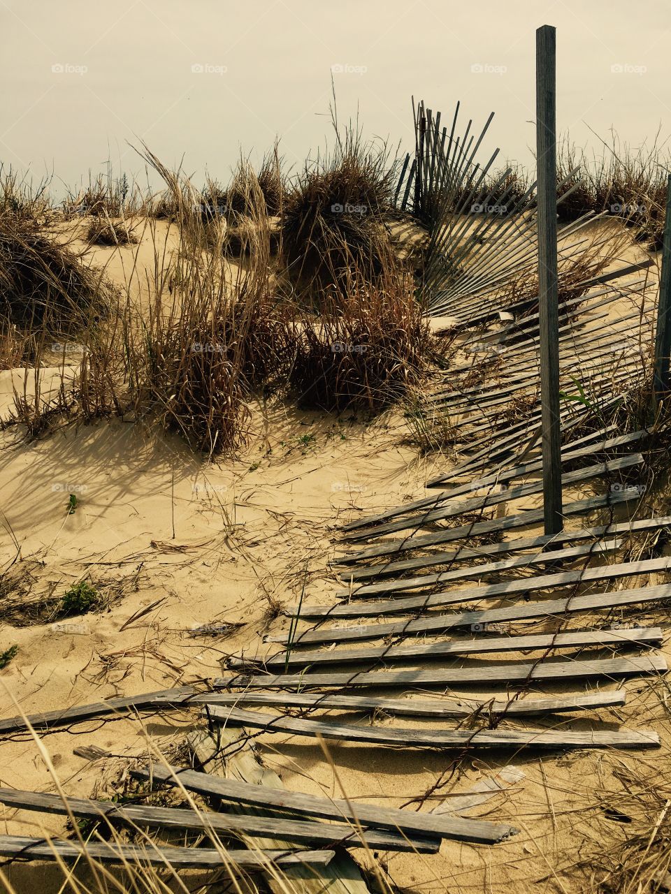 Beach fence