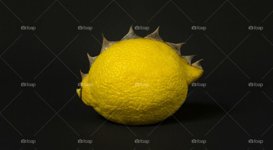 A lemon with spikes on black background