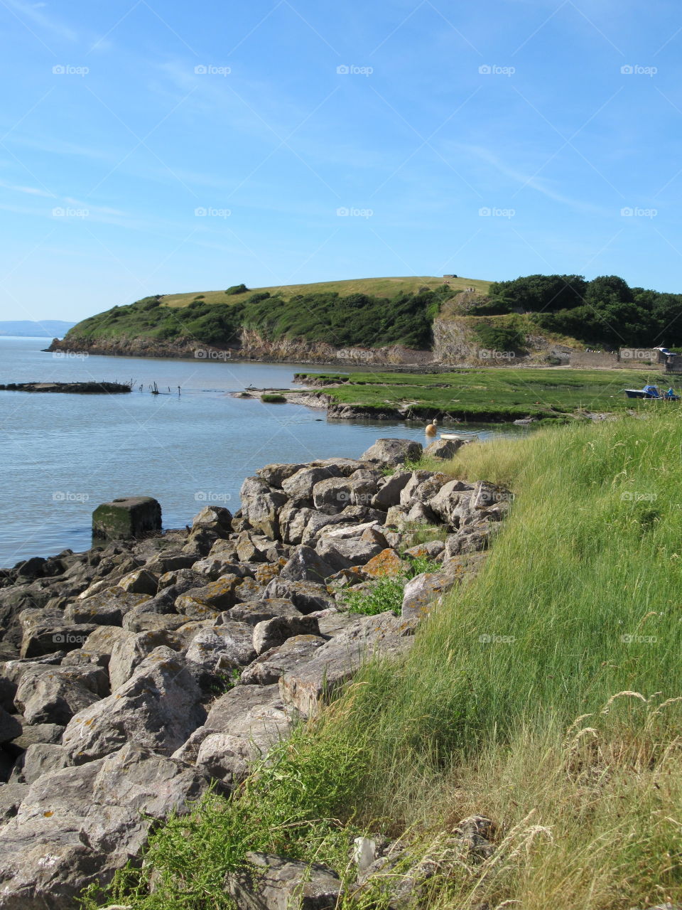 Clevedon Coastal View