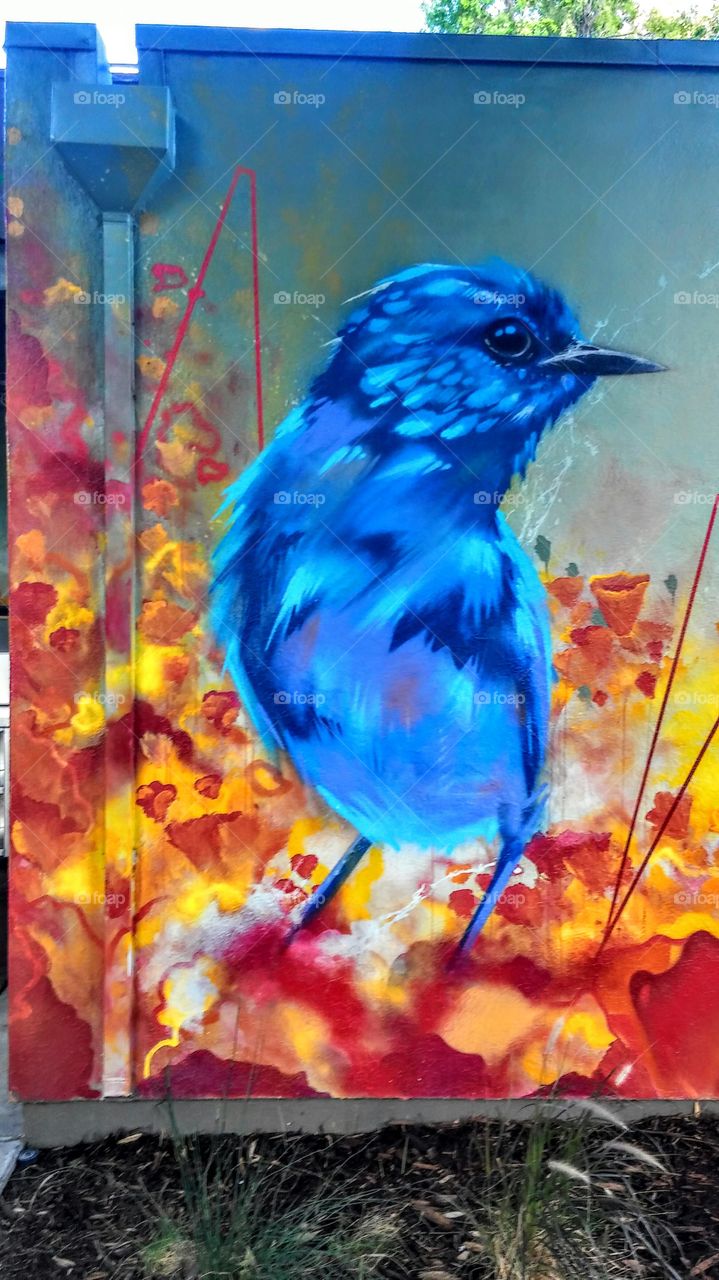 Blue Bird wall painting on a building in Downtown Sacramento California