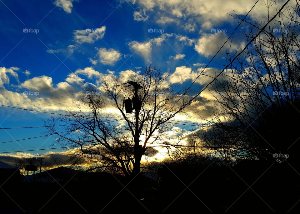 white clouds and setting sun with tree