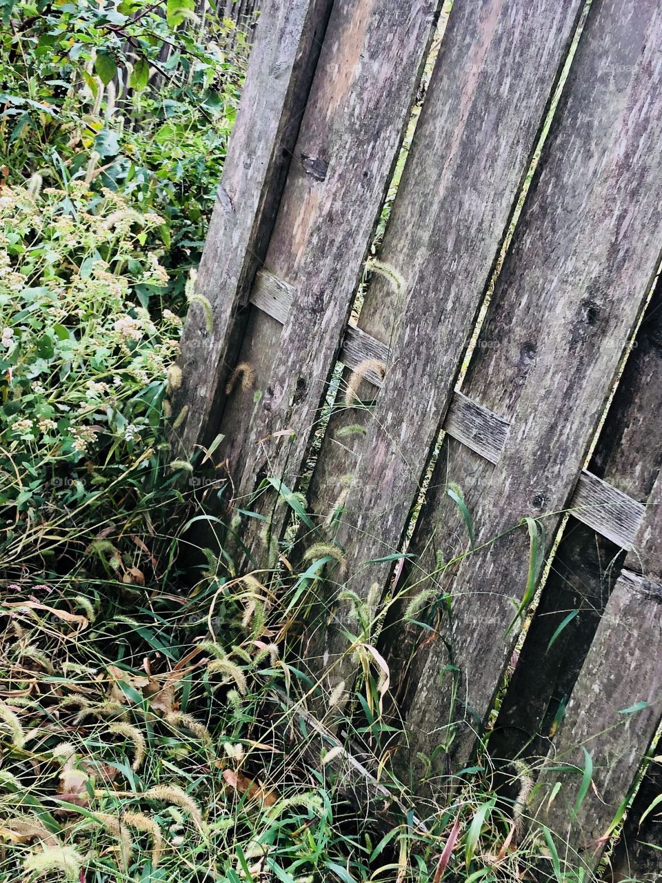 Old wood fence 