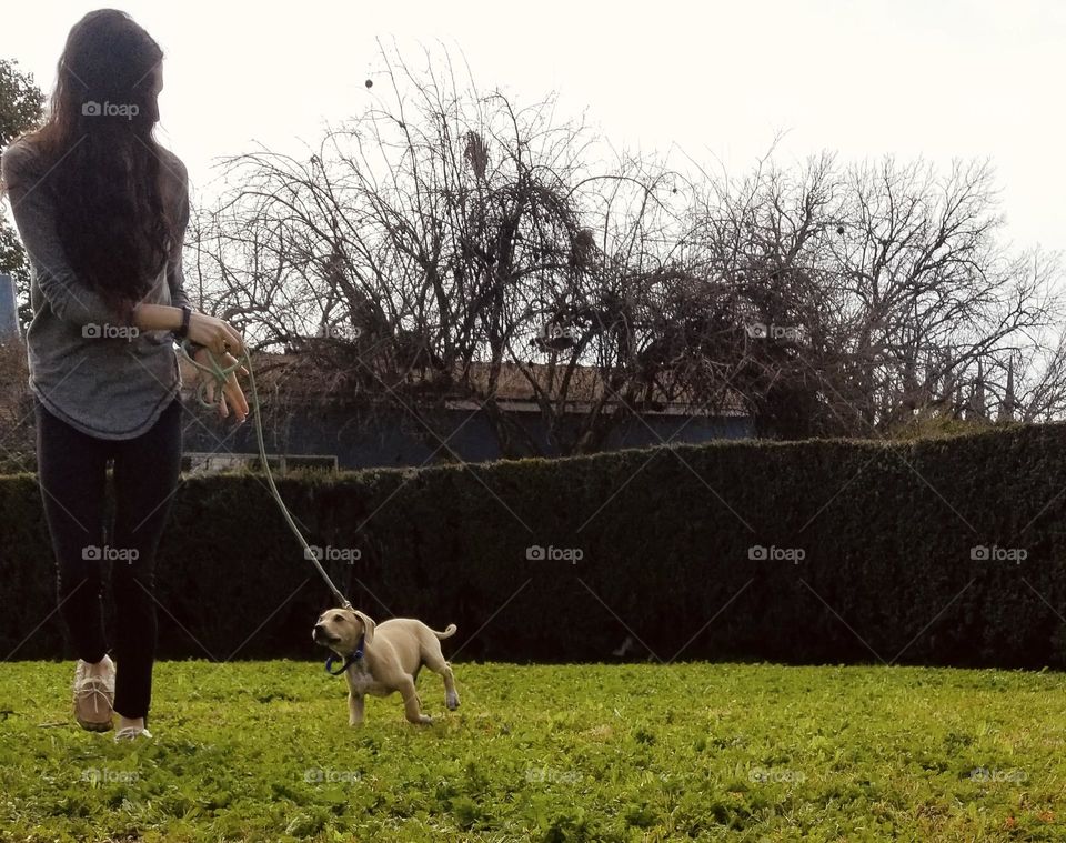 A girl walks her puppy in the yard and the puppy trots to keep up with her. 