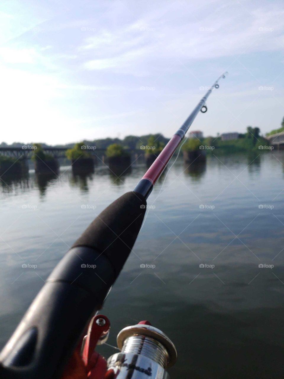 looking out over the water
