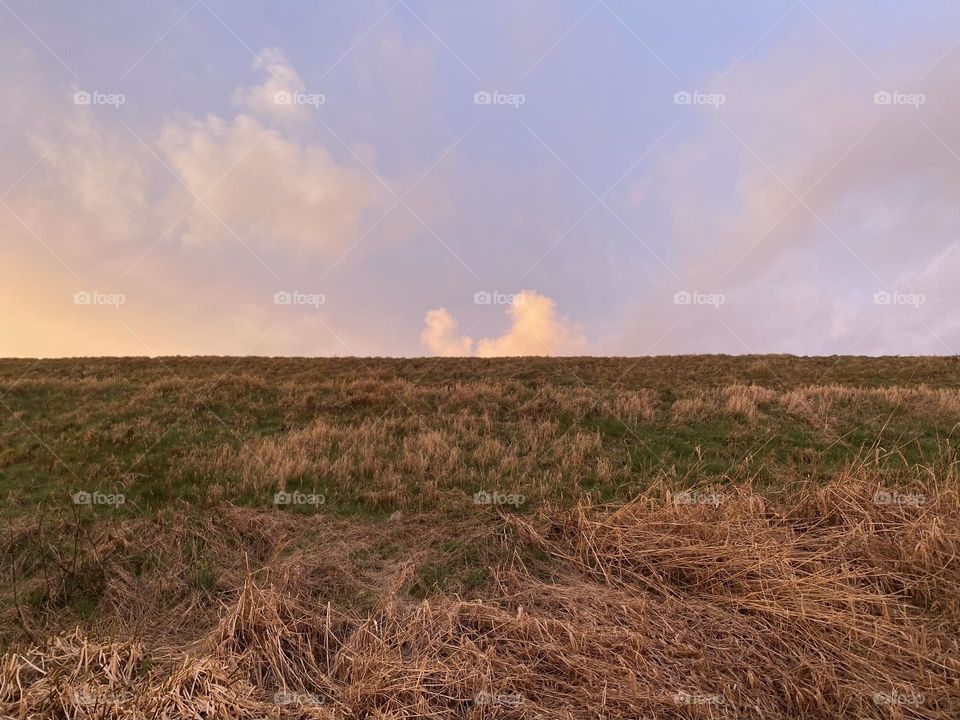 Scottish Countryside 