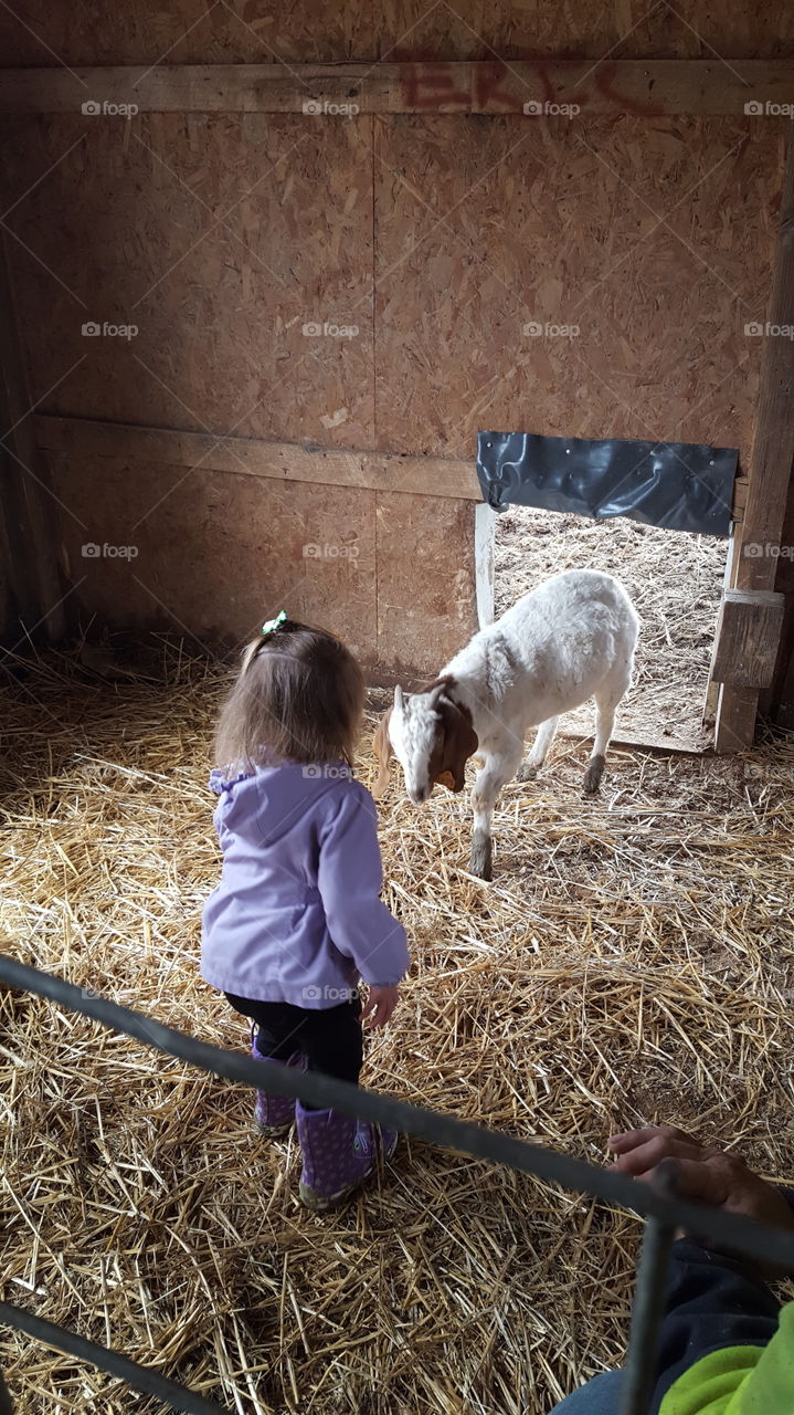 girl and goat