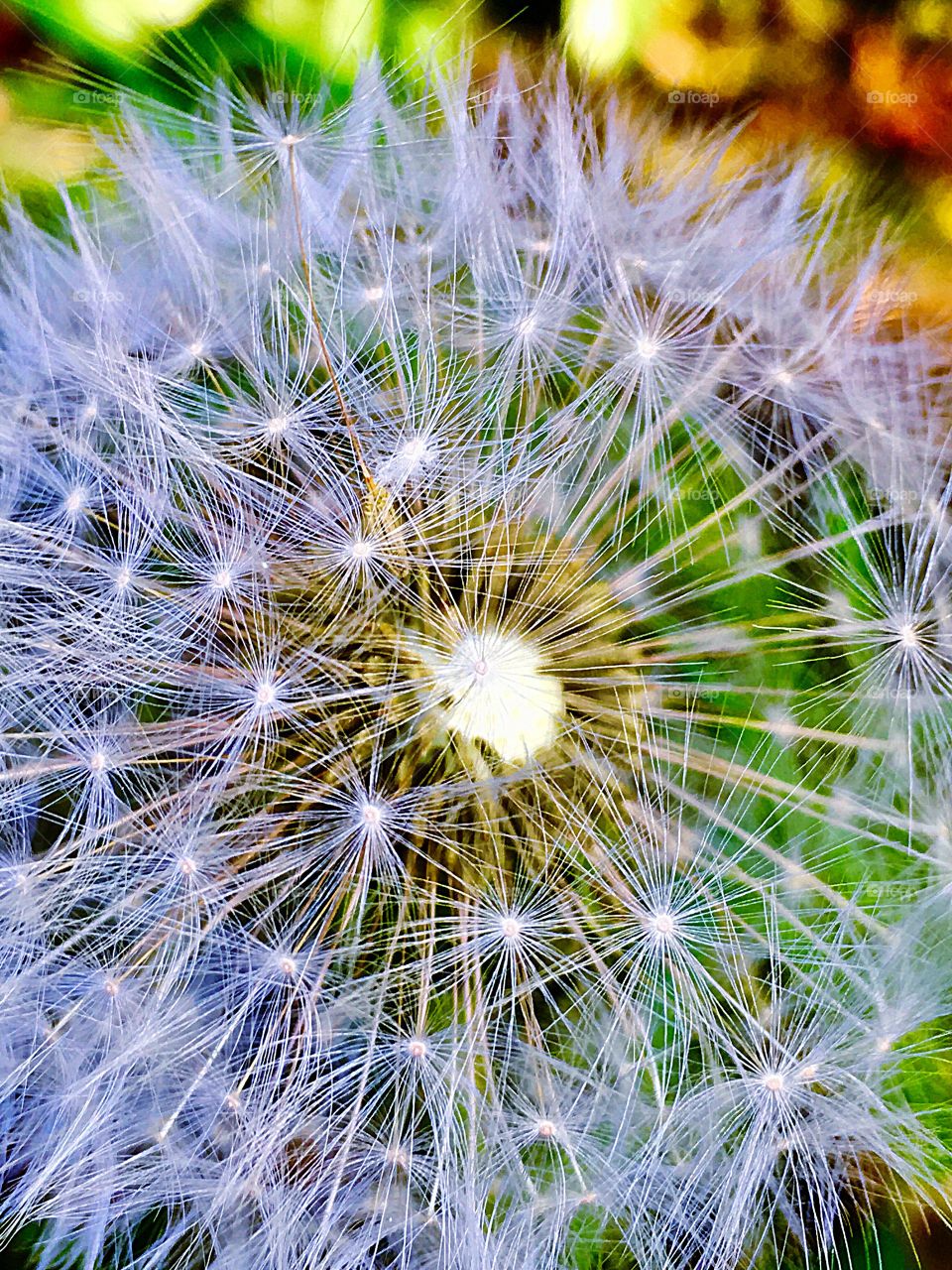 Captured with iPhone 6s Plus 