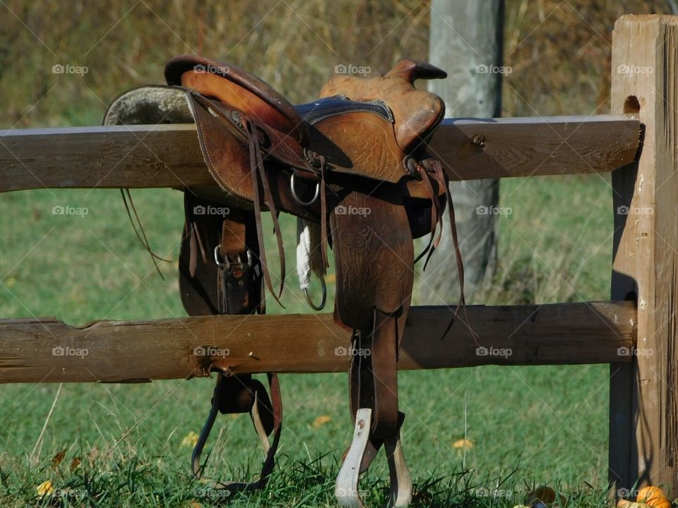 saddle on the fence