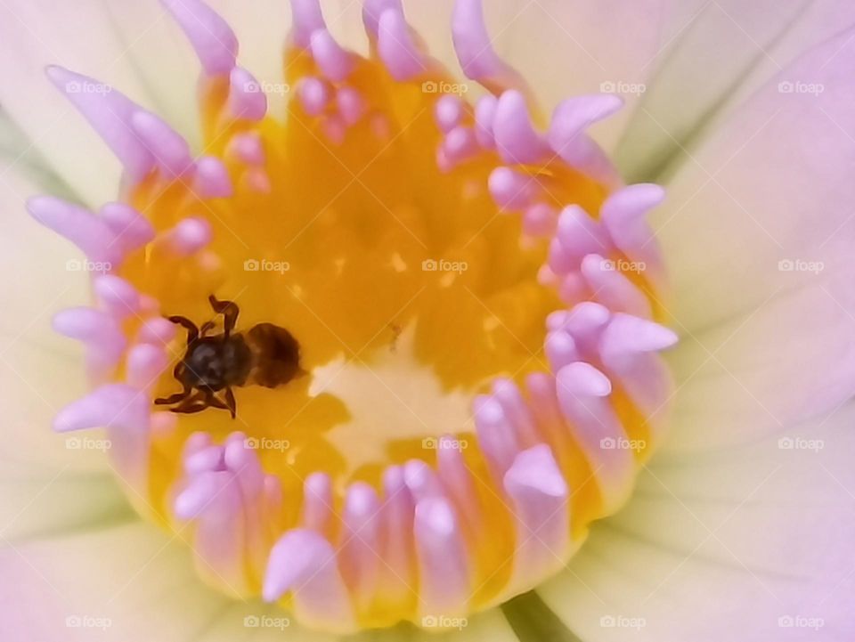 ocean feeling like it's really good