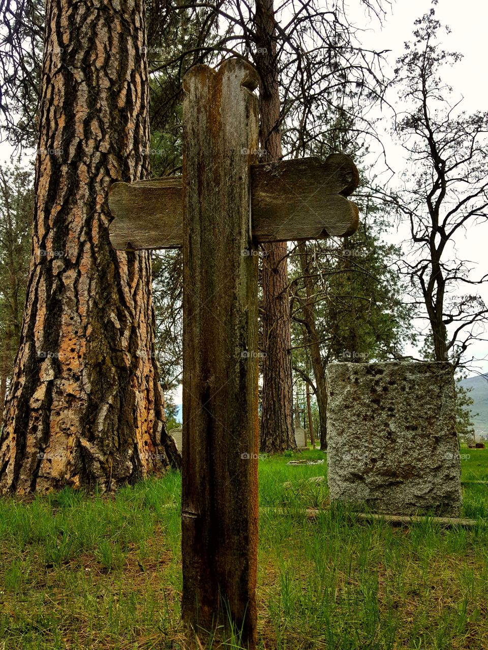 Something About GraveYards 🖤🥀
Makes One Ponder - The Great Unknown