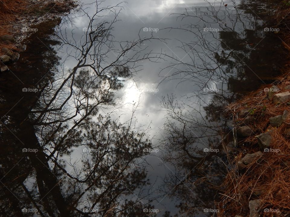 Nature’s Reflections, Dark Skies in the Stream