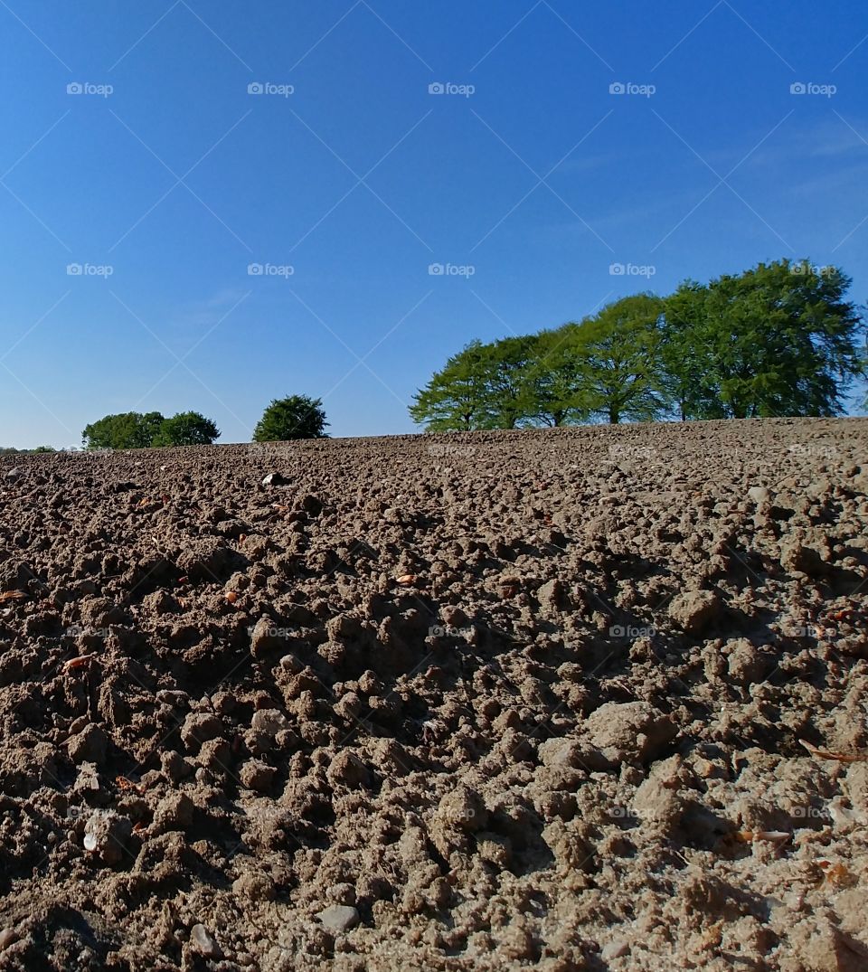 feld sand erde acker bii Bäume