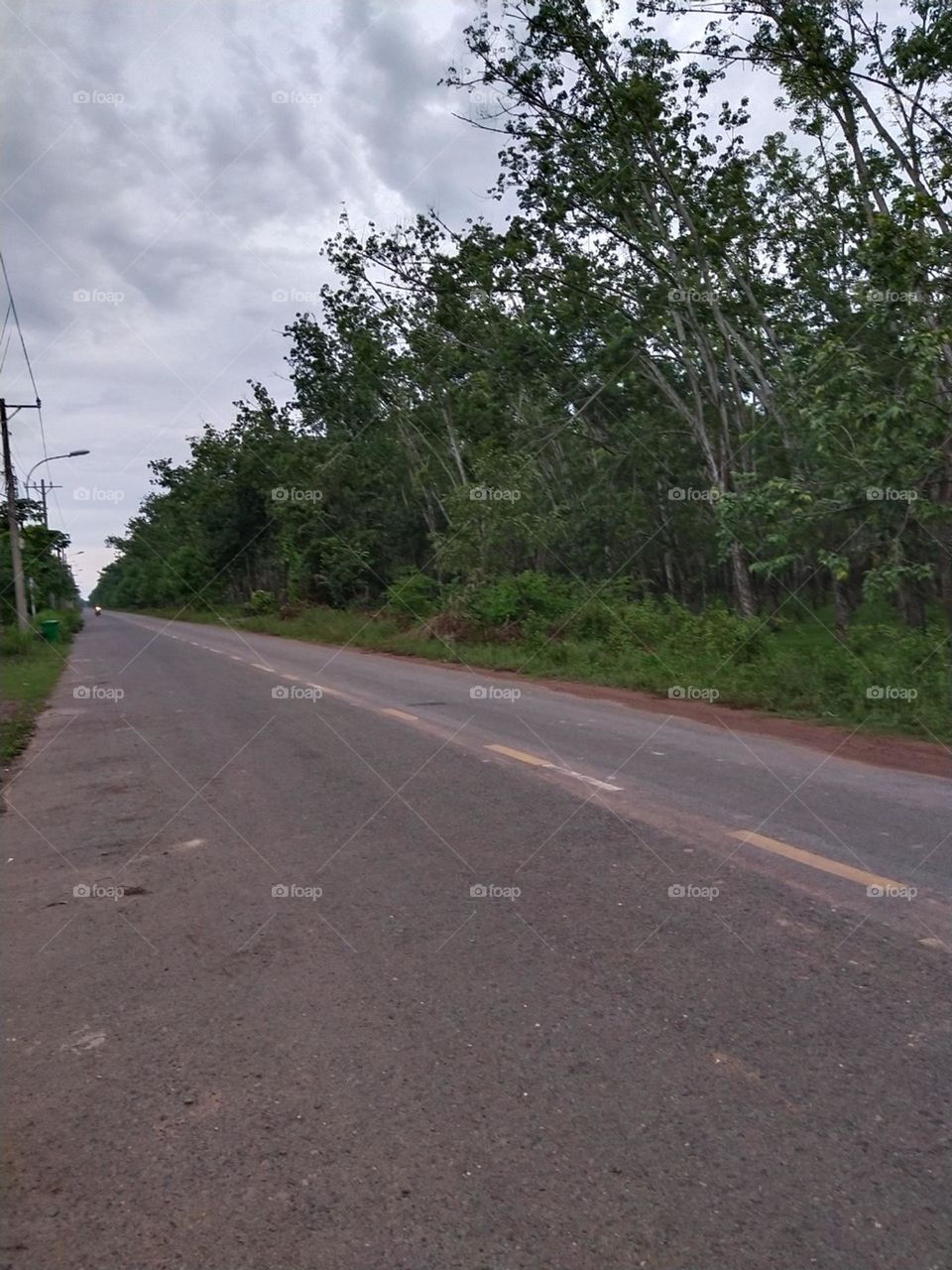 Đường làng Quê