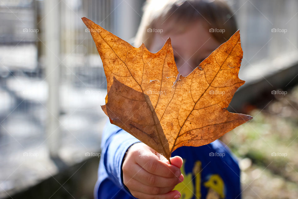 It's autumn time