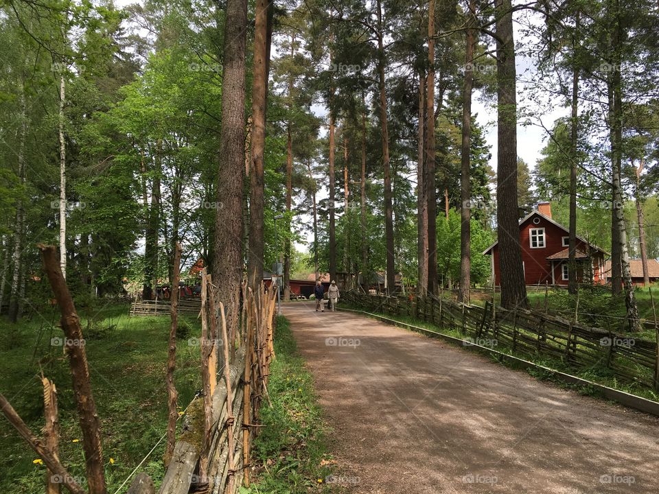 Swedish park