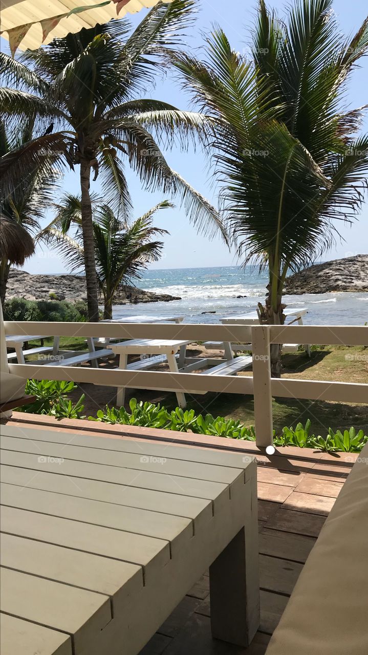 Enjoyed a delicious breakfast with a view at this beach club in Tulum. The huevos rancheros was so perfectly paired with this tropical view, I went back for more the next day!