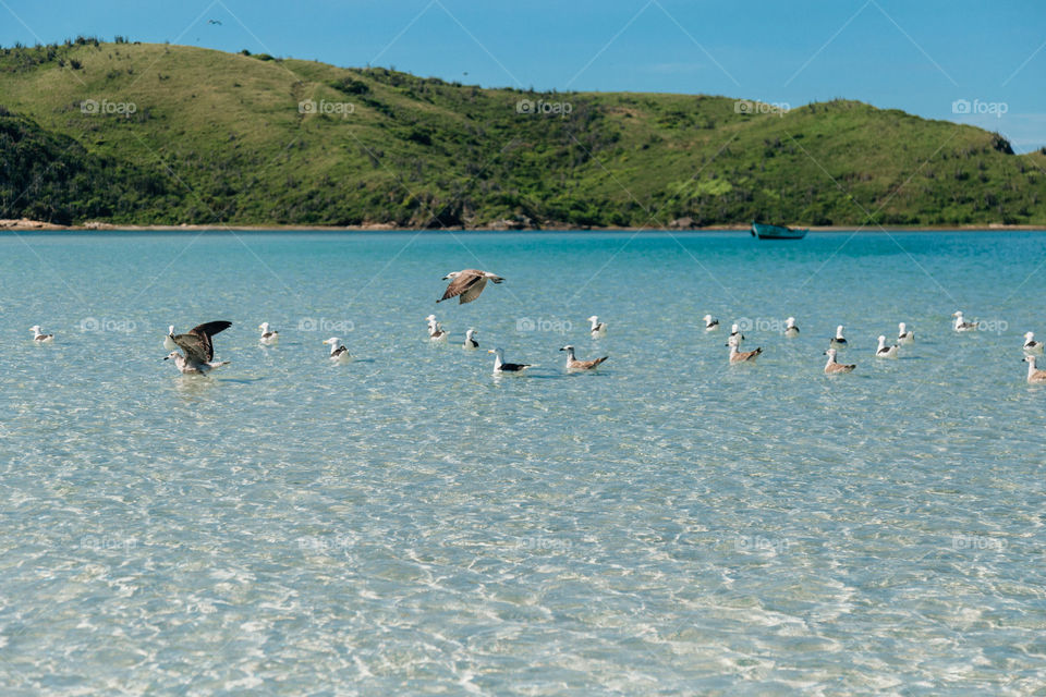 Praia com paisagem linda e fantástica no Brasil, na região do Lagos no Rio de Janeiro, em Búzios. Uma ilha incrível de conhecer!