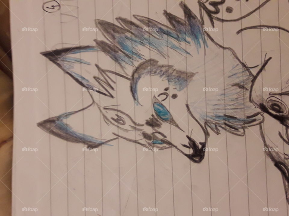 wolf(i actuly dont now what is this🤣🤣🤣)