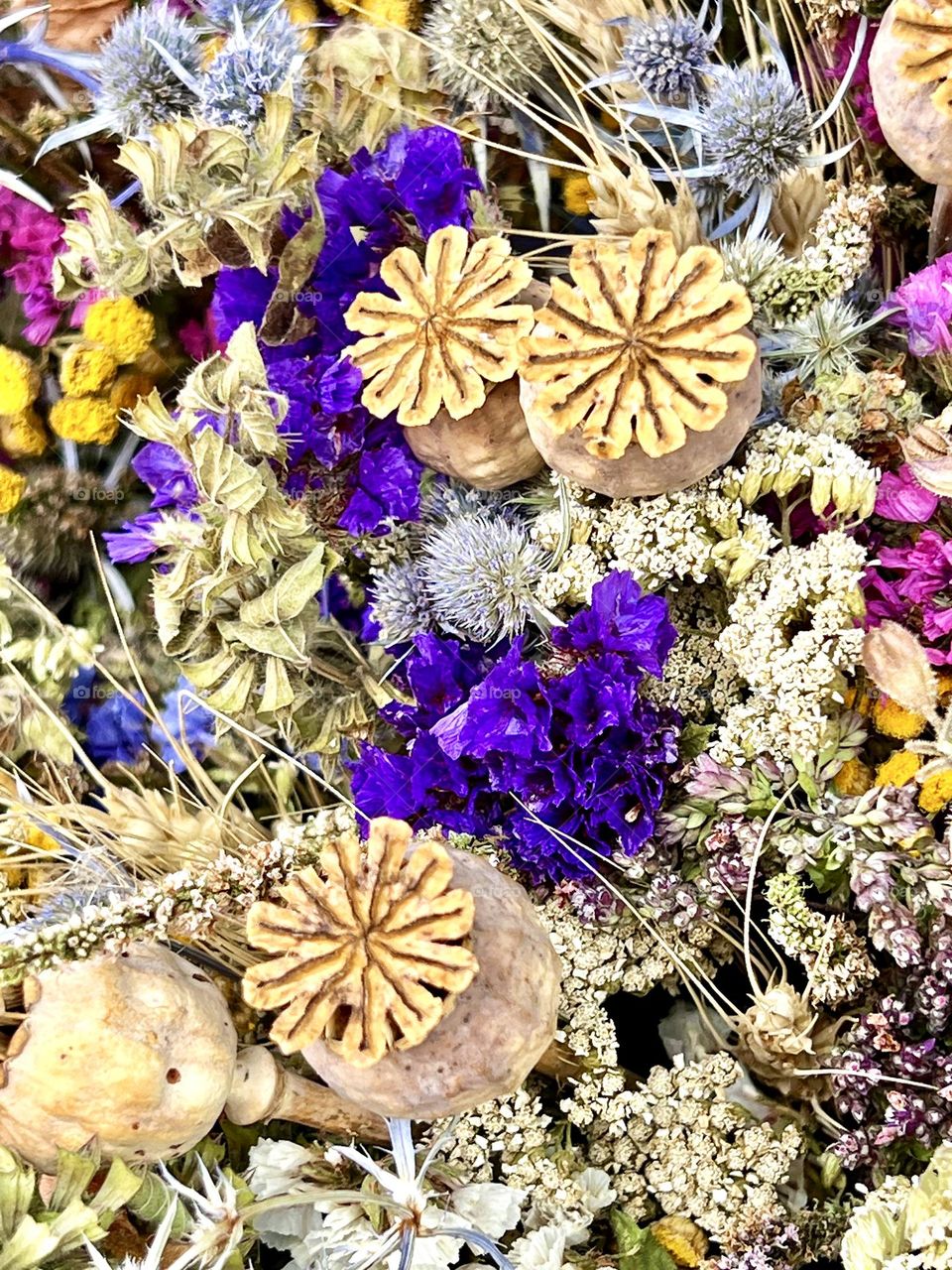 Bouquet of wild flowers. Dried flowers. Background