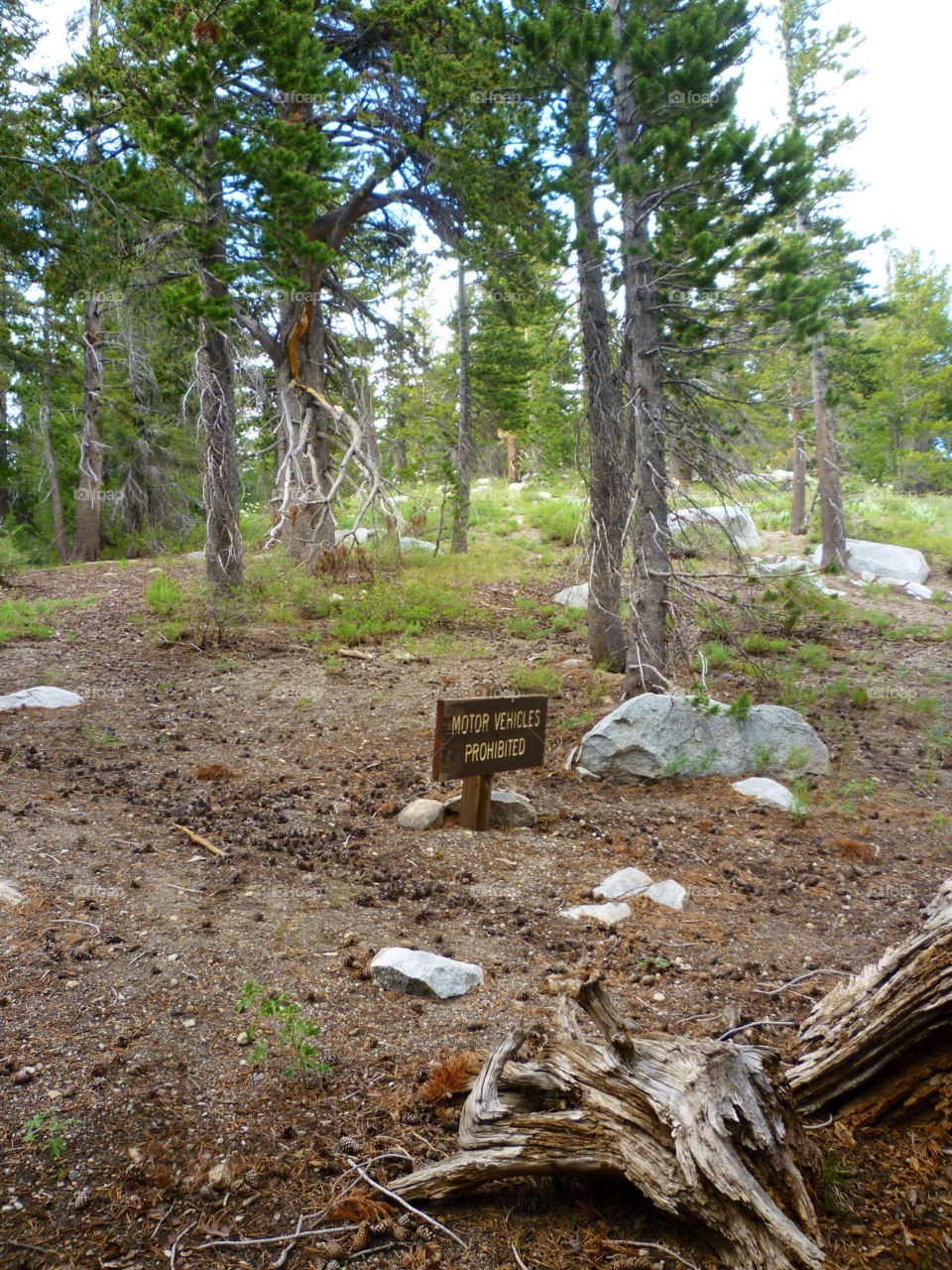 nature sign forrest rocks by kenglund