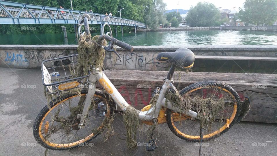 Bicycle found in lake, it looks pretty well maintained by the lake. 