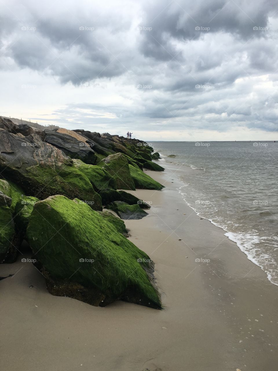 Moss on the jetty as a storm rolls in