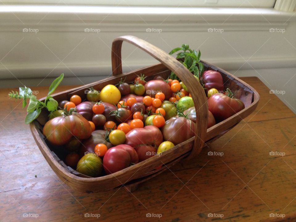 Heirloom tomatoes in trug basket