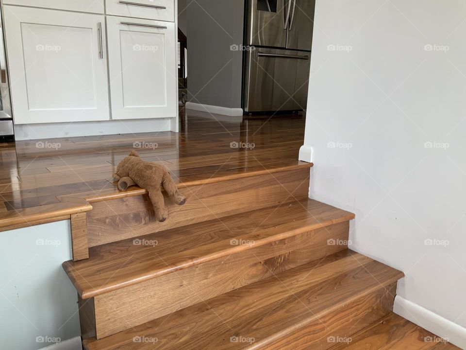 Having a hard time. Teddy bear trying to make it up the last stair. My dog stages his toys in an expressionist manner. Dog art. Hilarious expression of exasperation. You can do this. You’ve got this. Teddy Bear. Teddy bears live. Teddy bear comes to 