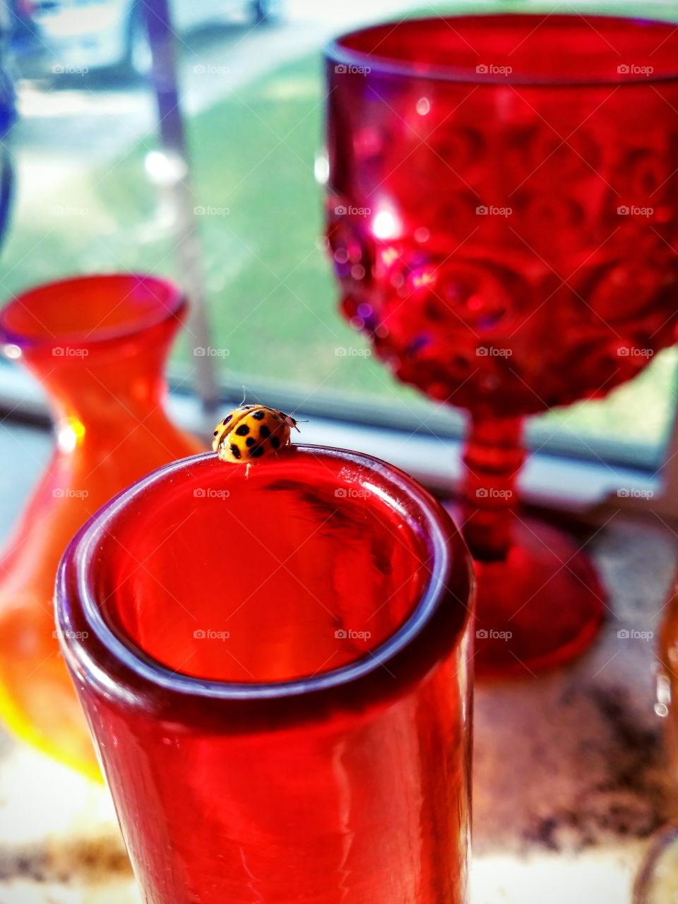 Ladybug  Love   🐞