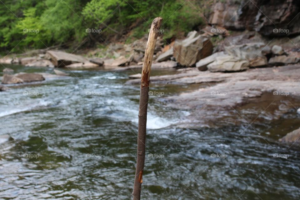 Walking Stick Rapids