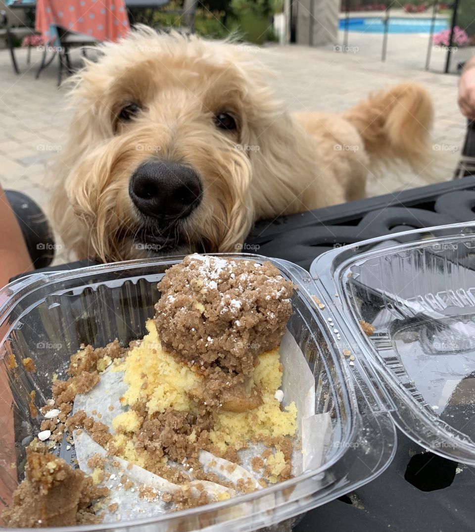 Gimme some crumb cake 