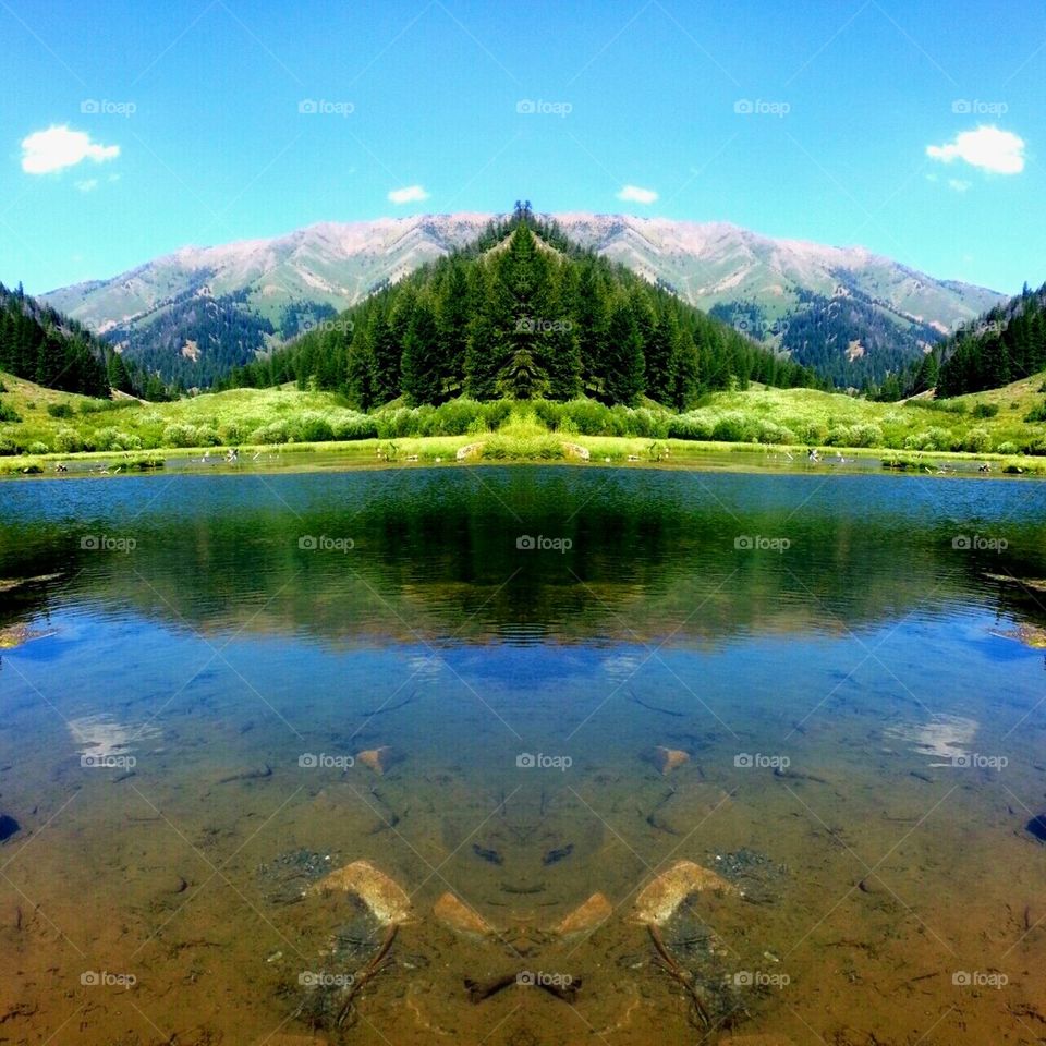 Mirrored Mountain 