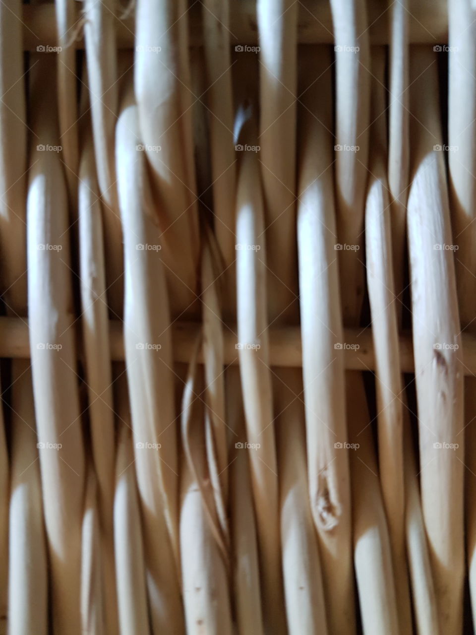 Bamboo Texture_light