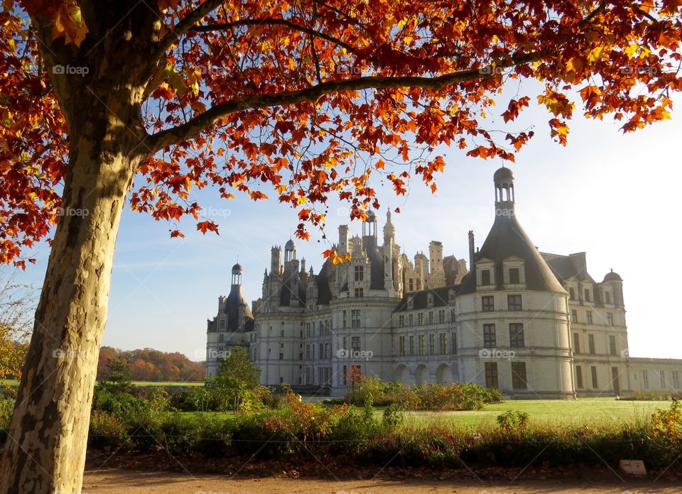 Chateaux Chambord