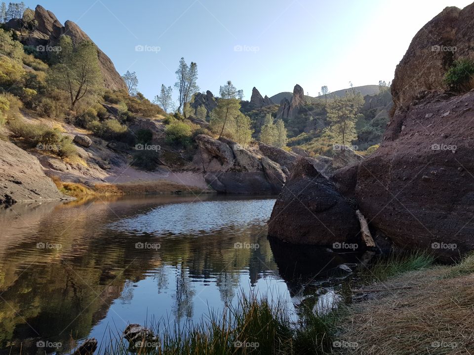 Serene quiet view in a National Park in California.