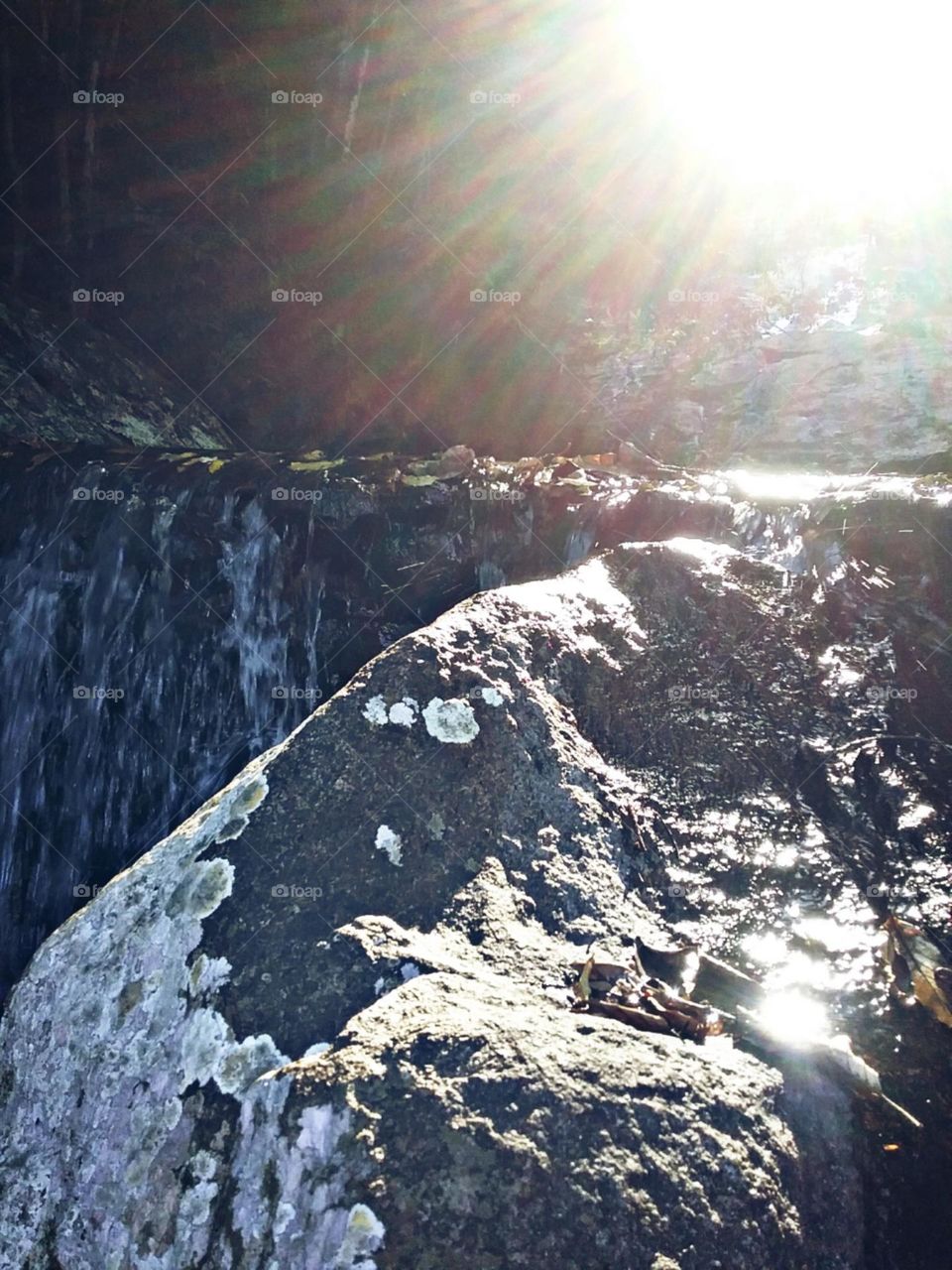 As pedras que sentem a água e que sentem a luz do sol.