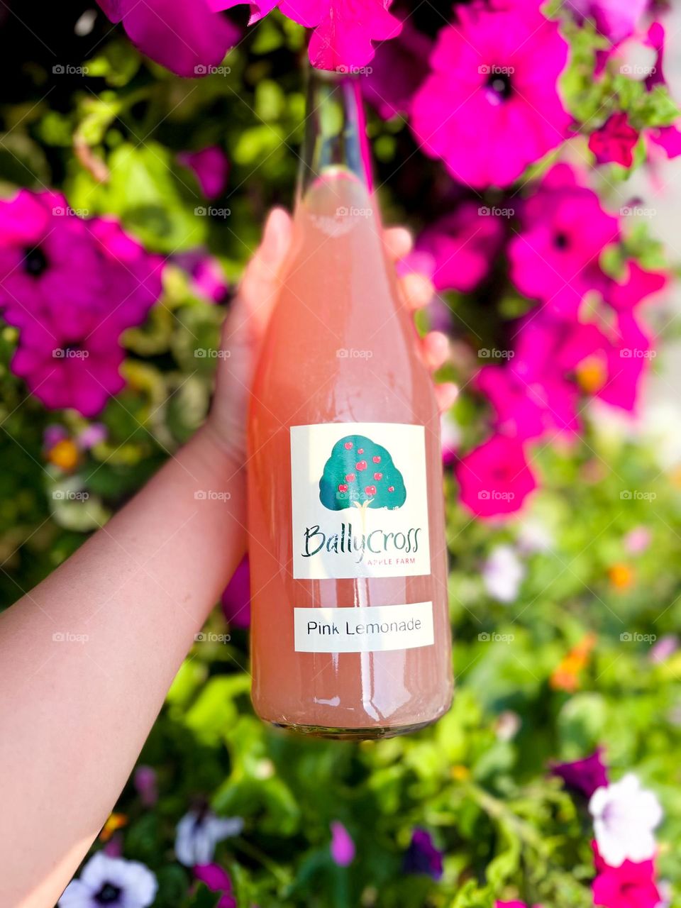 Ballycross pink lemonade 