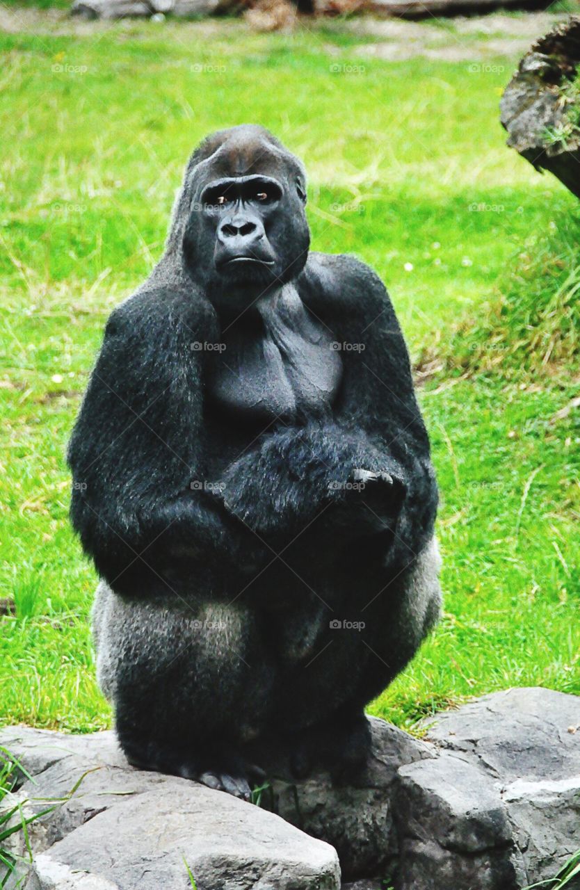 I'm always here for you waiting 